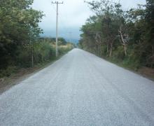 CAFETAL ESPINAL