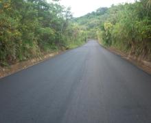 CAFETAL ESPINAL