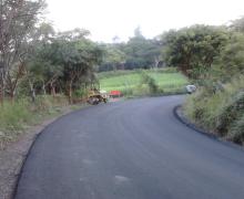 CAFETAL ESPINAL
