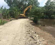 Reconstrucción margen natural derecha del Rio Blanco.