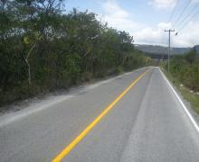 CAFETAL ESPINAL